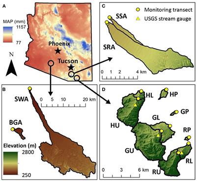 Estimating Surface Water Presence and Infiltration in Ephemeral to Intermittent Streams in the Southwestern US